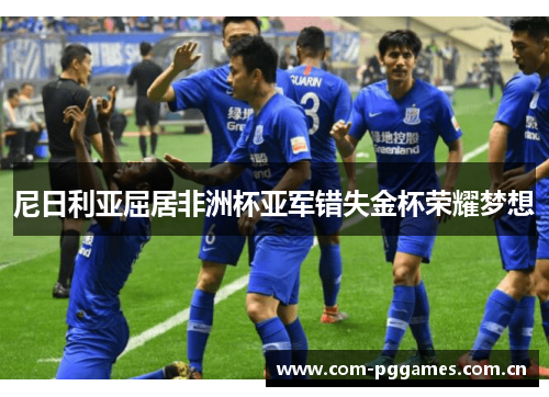 尼日利亚屈居非洲杯亚军错失金杯荣耀梦想